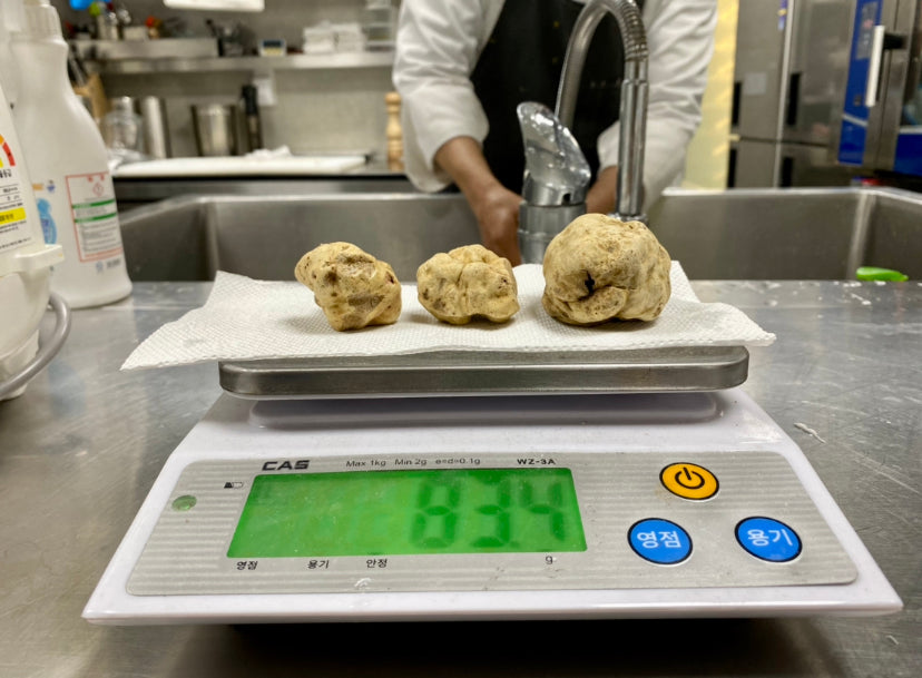 TUBER MAGNATUM PICO