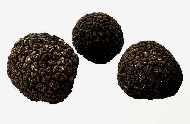 INTRODUCING BLACK AUTUMN TRUFFLES