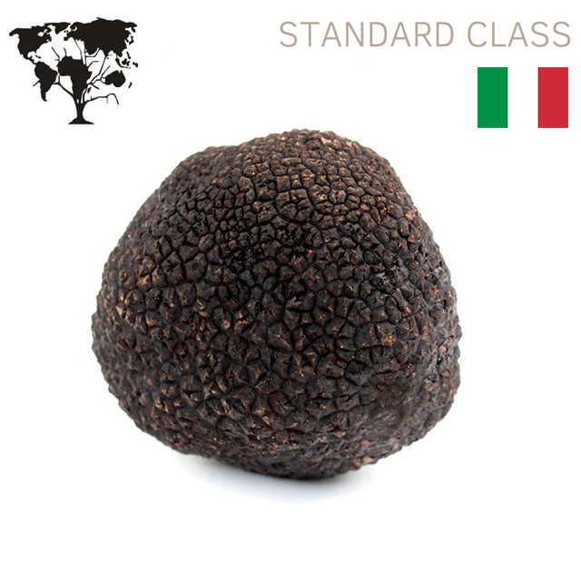 
                  
                    Fresh Italian "TUBER Melanosporum" Standard Class Winter Precious black truffle
                  
                