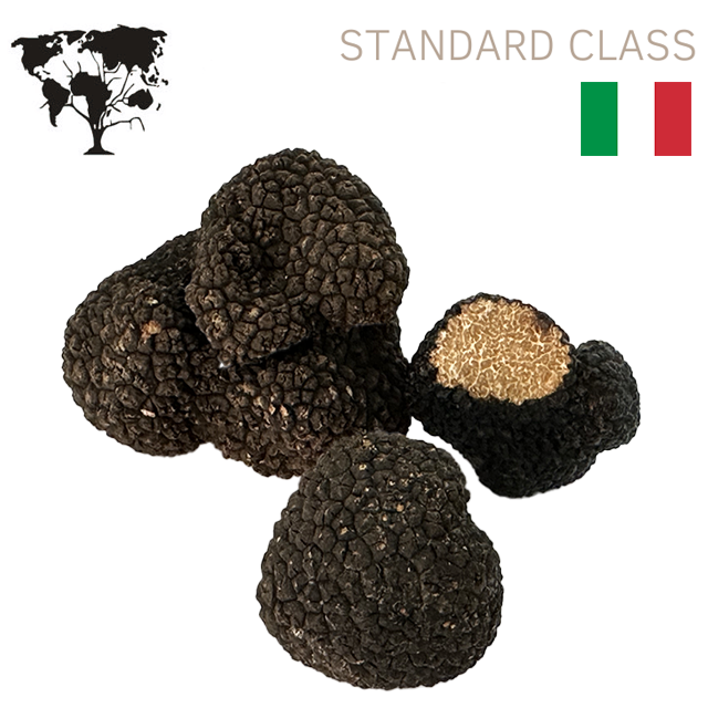 Italiano Fresco "TUBER Aestivum" Classe Standard Tartufo nero pregiato Estivo