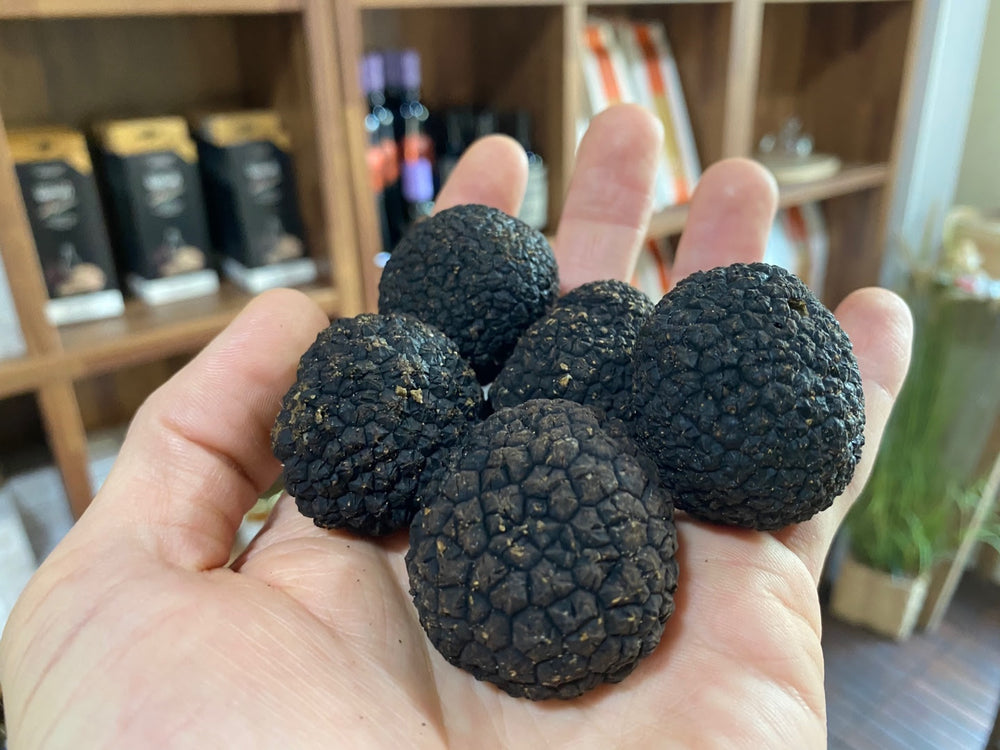 About burgundy truffles or autumn truffles – The story of burgundy truffles loved in Europe