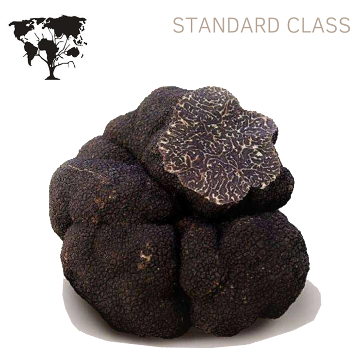 
                  
                    "TUBER Melanosporum" Classe Standard Winter Precious truffe noire fraîche 50g
                  
                