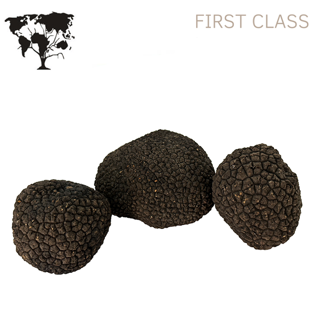 italian fresh summer black truffle