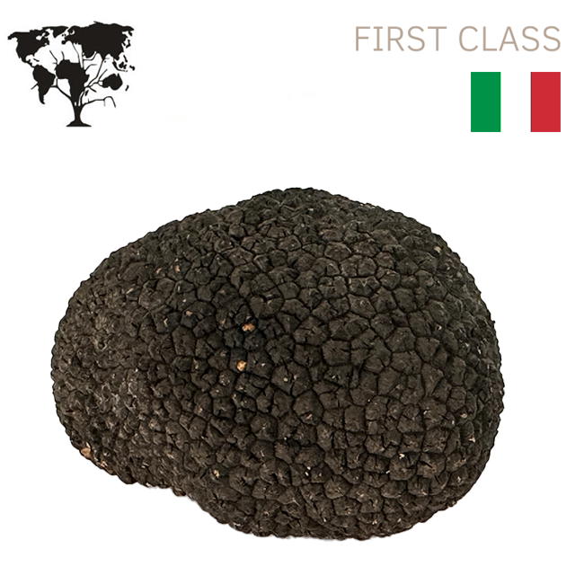 
                  
                    Truffe noire italienne fraîche "TUBER Aestivum" de première classe
                  
                